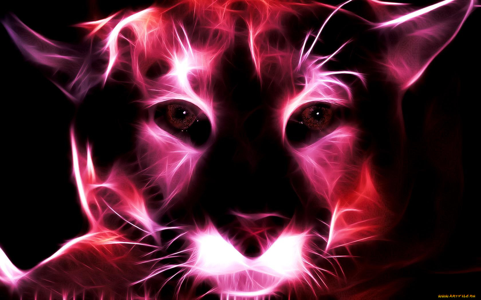3, , animals, , 